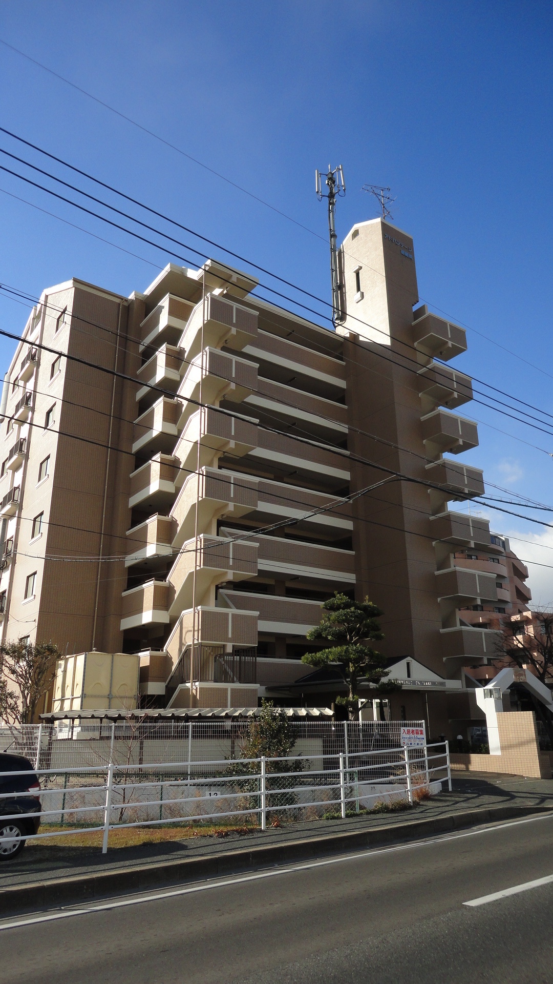画像8