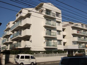 画像8