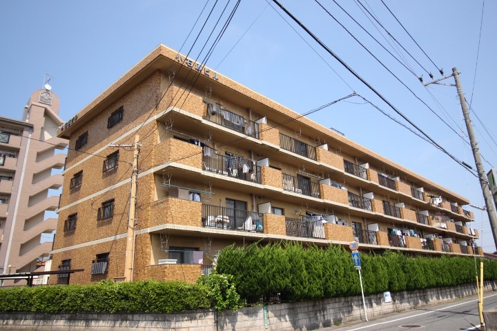 画像8