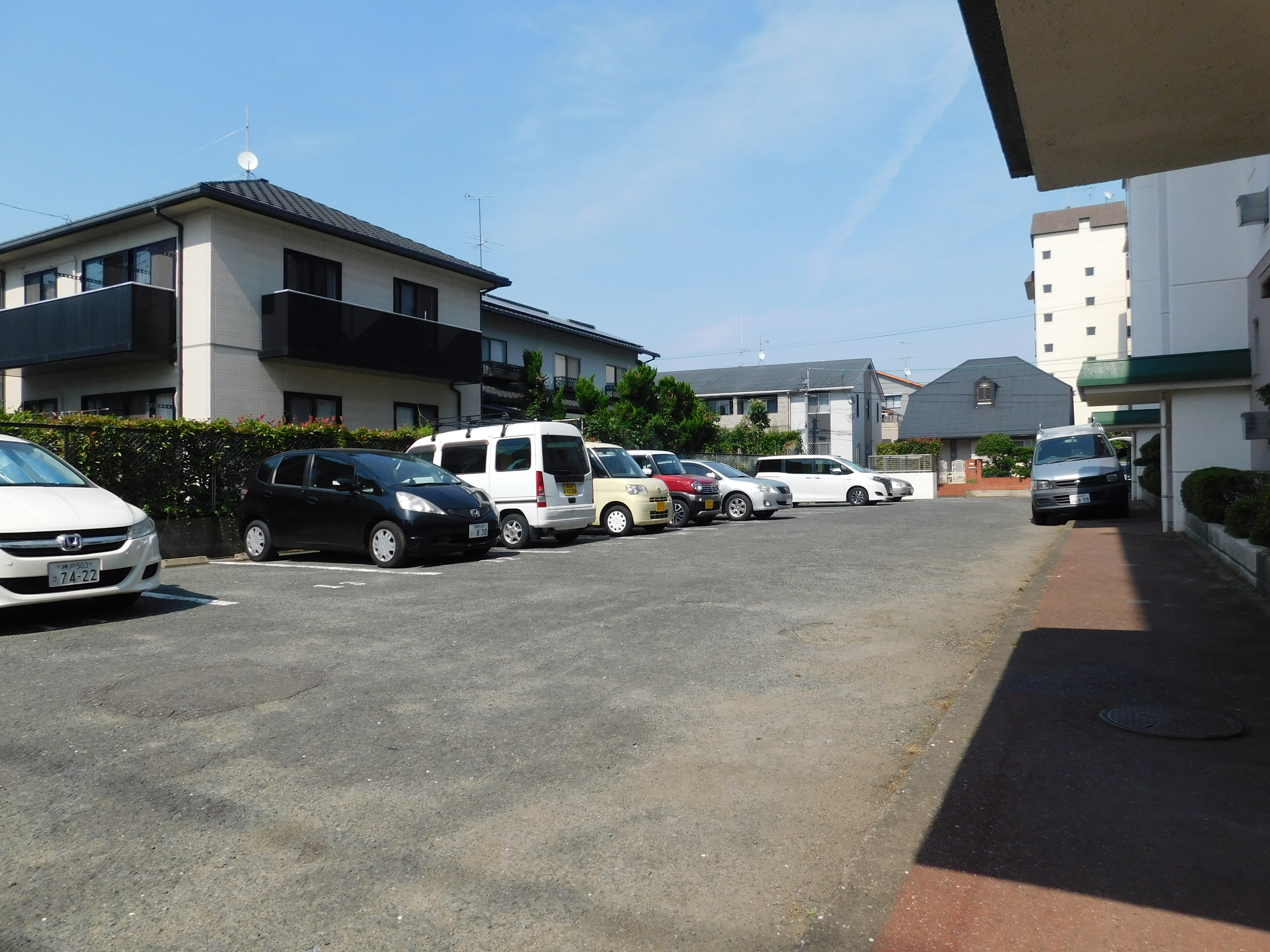 画像7