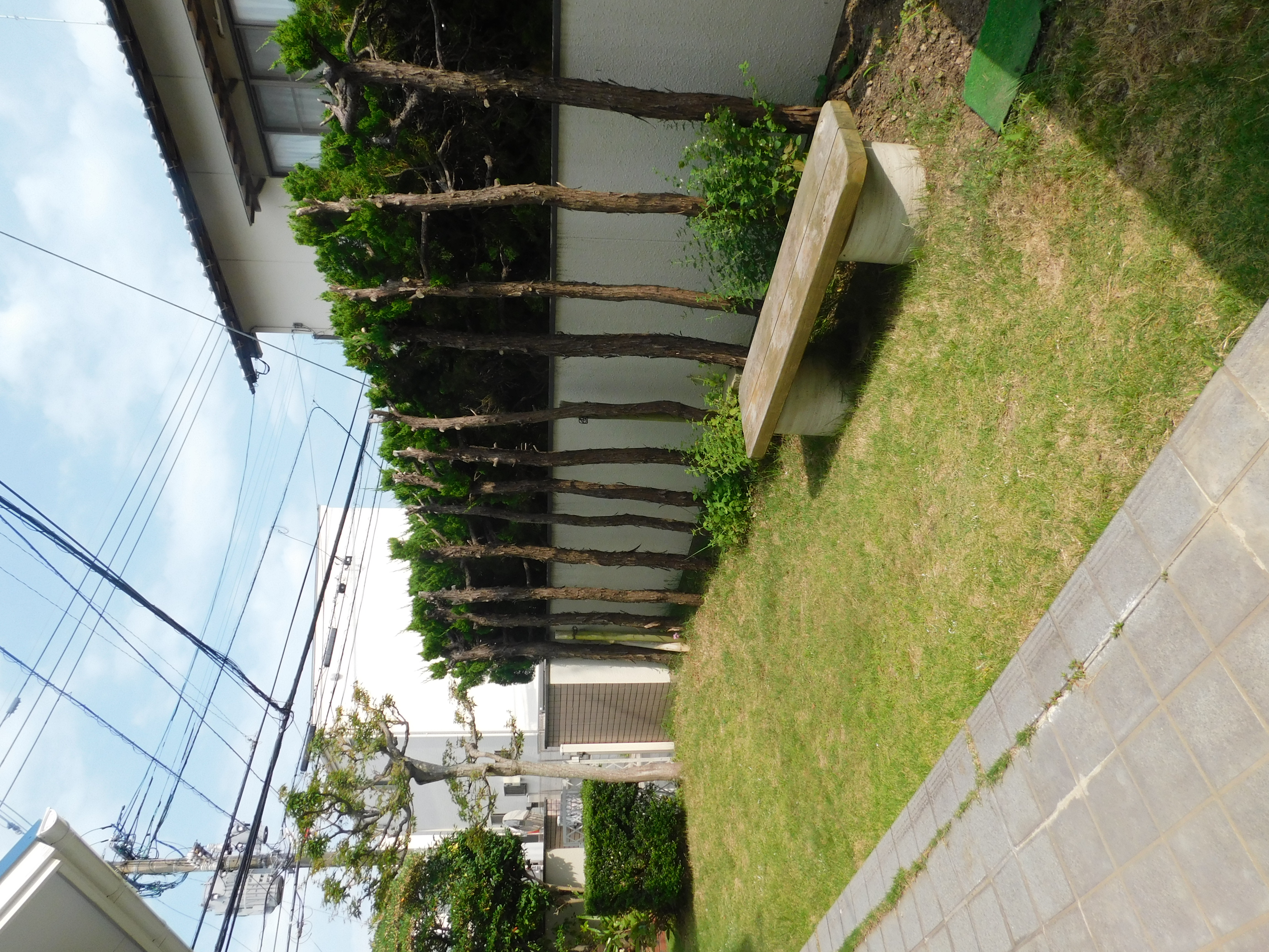 画像8