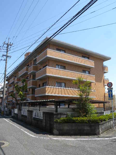 画像8